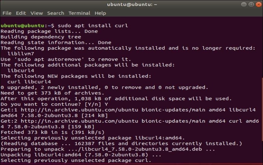 how to install curl on windows using bash